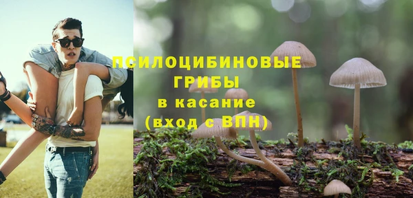 прущая мука Армянск